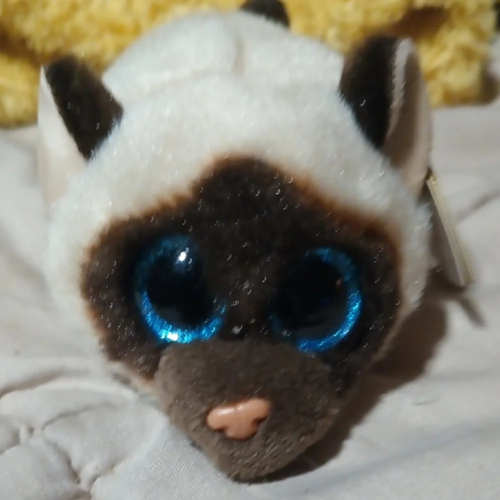 Ty- Siamese Cat Toy - White and Brown- Teeny Tys
